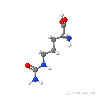 l-citrullin-potentzmittel